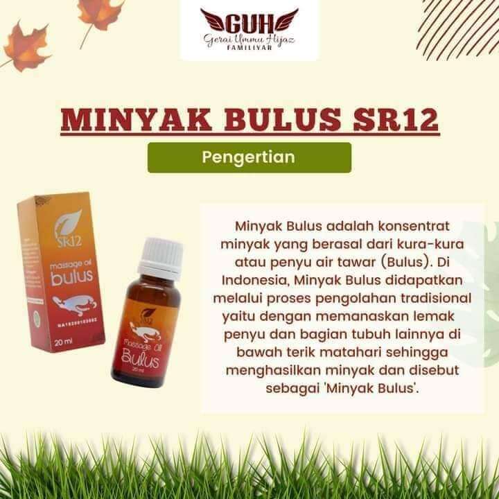 Massage oil bulus